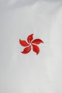 WTV165 Design Winter Sports Suit Hooded Hong Kong Sportswear Manufacturer detail view-12